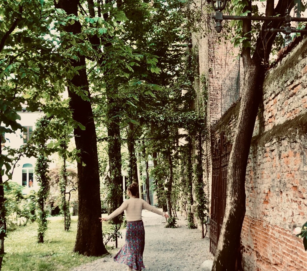 Leonardo Da Vinci´s verborgen wijngaard