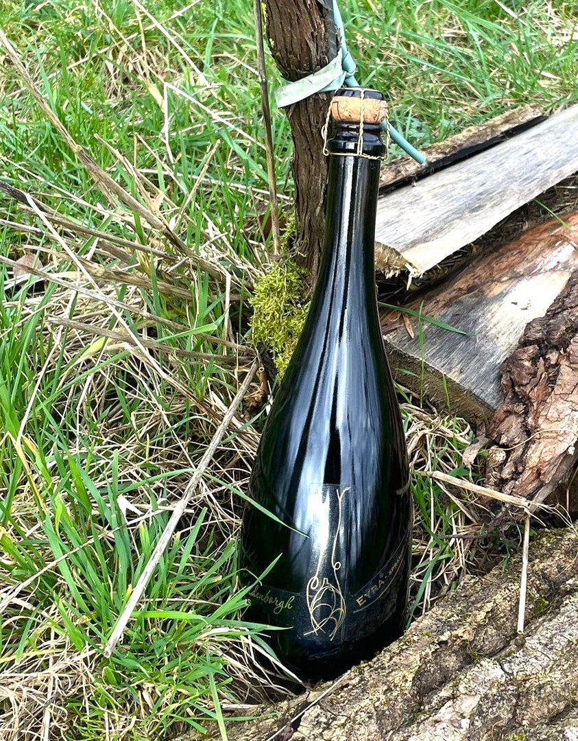 Aldenborgh: Wijnhistorie op Limburgse kalkgrond