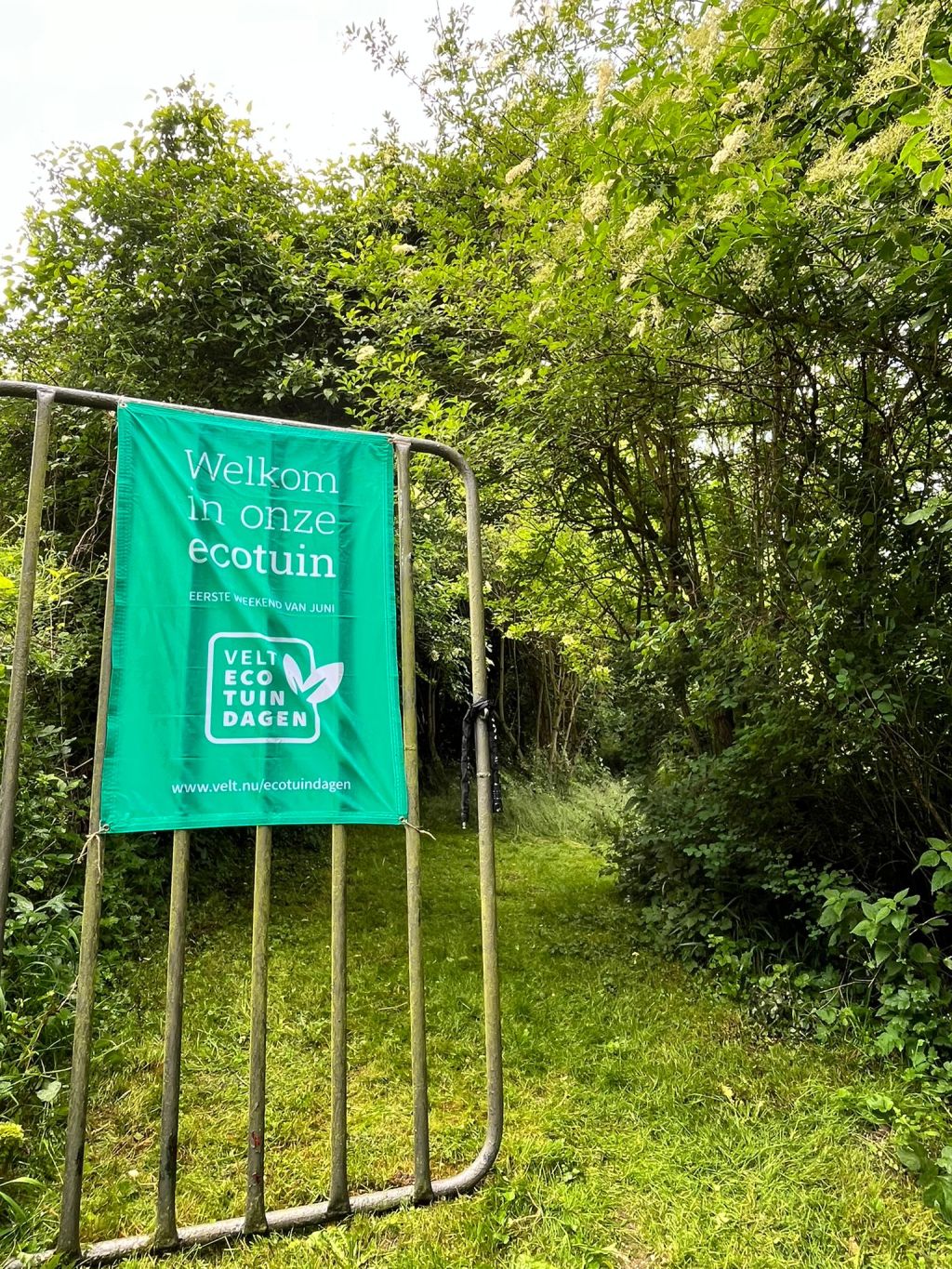 De Toekomst van het Vuurpad: nieuwe aanwinsten, Italiaanse inspiratie en een jubileum