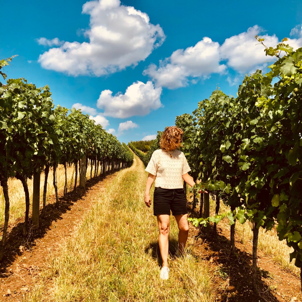 Mozart in Weinviertel