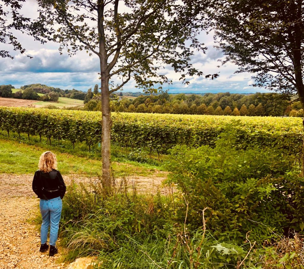 Op wijnwandeling door het Land van Kalk